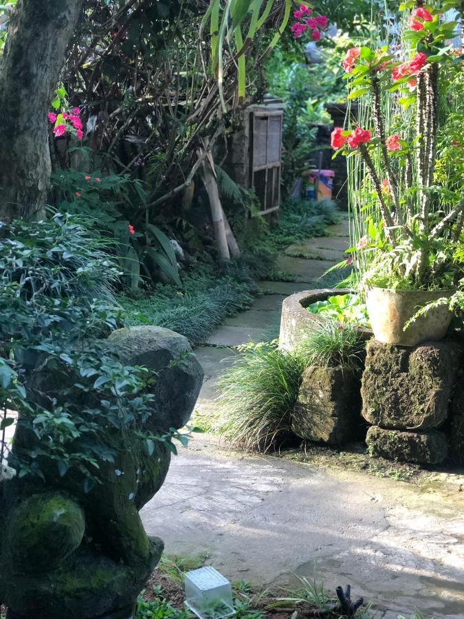 The Hidden Bali Inn Ubud Dış mekan fotoğraf