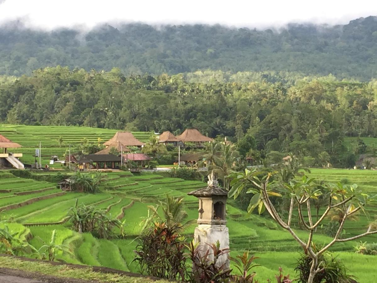 The Hidden Bali Inn Ubud Dış mekan fotoğraf